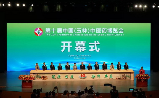 广药集团参加第十届中国(玉林)中医药博览会