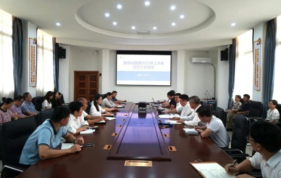 白云山盈康2025上半年经济工作会议，为全年发展蓄力​