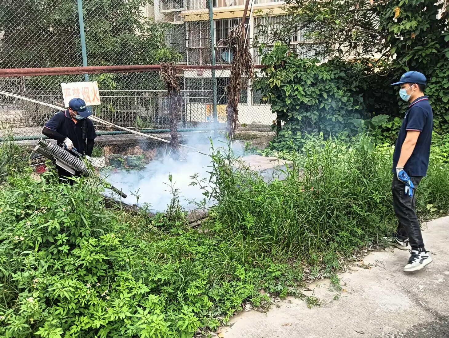 白云山盈康多措并举 全面开展“两热”防控工作